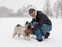DSC01341  Ade, Keeshond : Keeshond