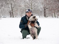 DSC01354  Ade, Keeshond : Keeshond
