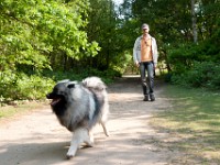 DSC04061  Ade, Keeshond : Keeshond