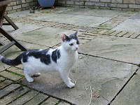 DSC00045