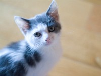 DSC04010 2