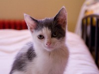 DSC04062 2