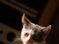 DSC04075 2