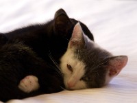 DSC04151