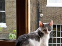 DSC04198