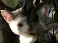 DSC04942
