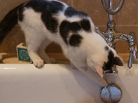 DSC05272  Mad for the taps - will wait all day staring at them :)