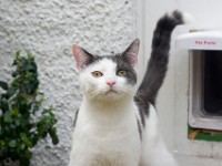 DSC06996 2