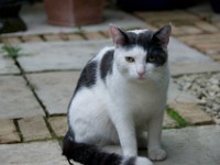 DSC09366