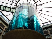 DSC03892  Hotel lobby, with lift running through fishtank