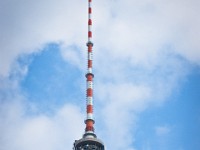DSC03973
