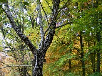 DSC04336 3