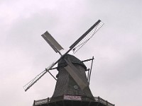 DSC04491 2