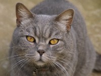 DSC00082
