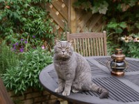 DSC00107