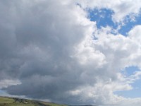 DSC03367 2