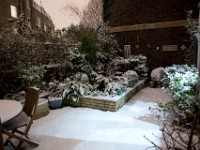 DSC00594  Snow, January 2009
