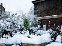 DSC00616  Snow, January 2009