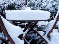 DSC00618-2  Snow, January 2009