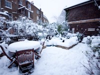 DSC00624  Snow, January 2009