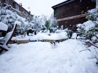 DSC00628  Snow, January 2009