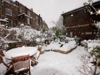 DSC00652  Snow, January 2009