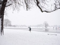 DSC00665  Snow, January 2009