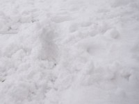 DSC00693  Snow, January 2009