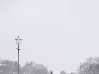 DSC00697  Snow, January 2009