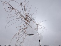 DSC00726  Snow, February 2009