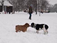 DSC00742  Snow, February 2009