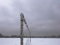 DSC00774  Snow, February 2009
