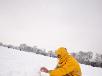 DSC00797  Snow, February 2009