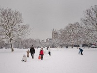 DSC00813  Snow, February 2009