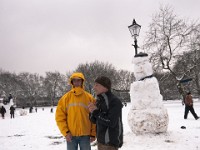 DSC00816  Snow, February 2009