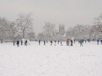 DSC00856  Snow, February 2009
