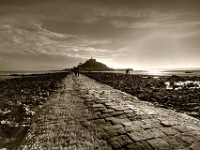 DSC05015 6 7 : Cornwall