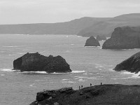 DSC05228 : Cornwall