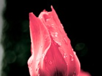 DSC01388