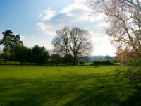 DSC01617