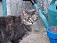 DSC08315
