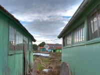 DSC09080 1 2