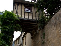 DSC06556
