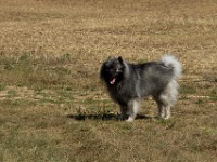 DSC06630
