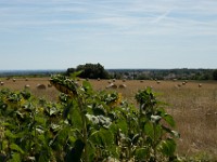 DSC06640