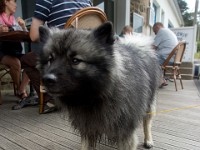 DSC06850