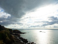 DSC06877
