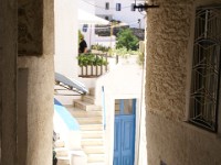 DSC03518
