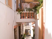DSC03519 2