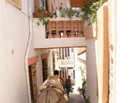 DSC03526